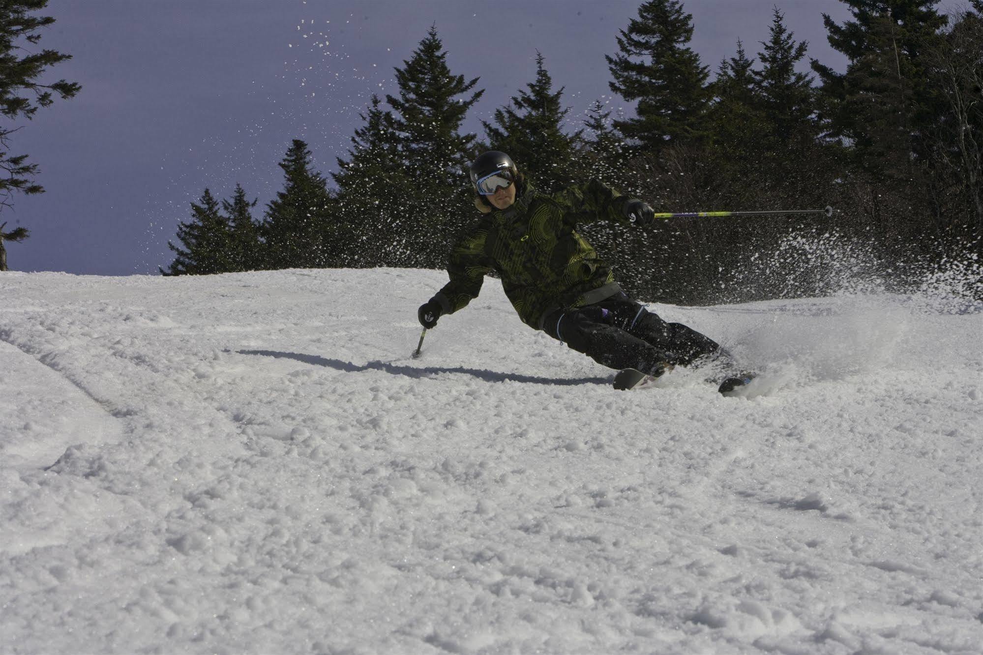 Allegheny Springs Snowshoe Esterno foto