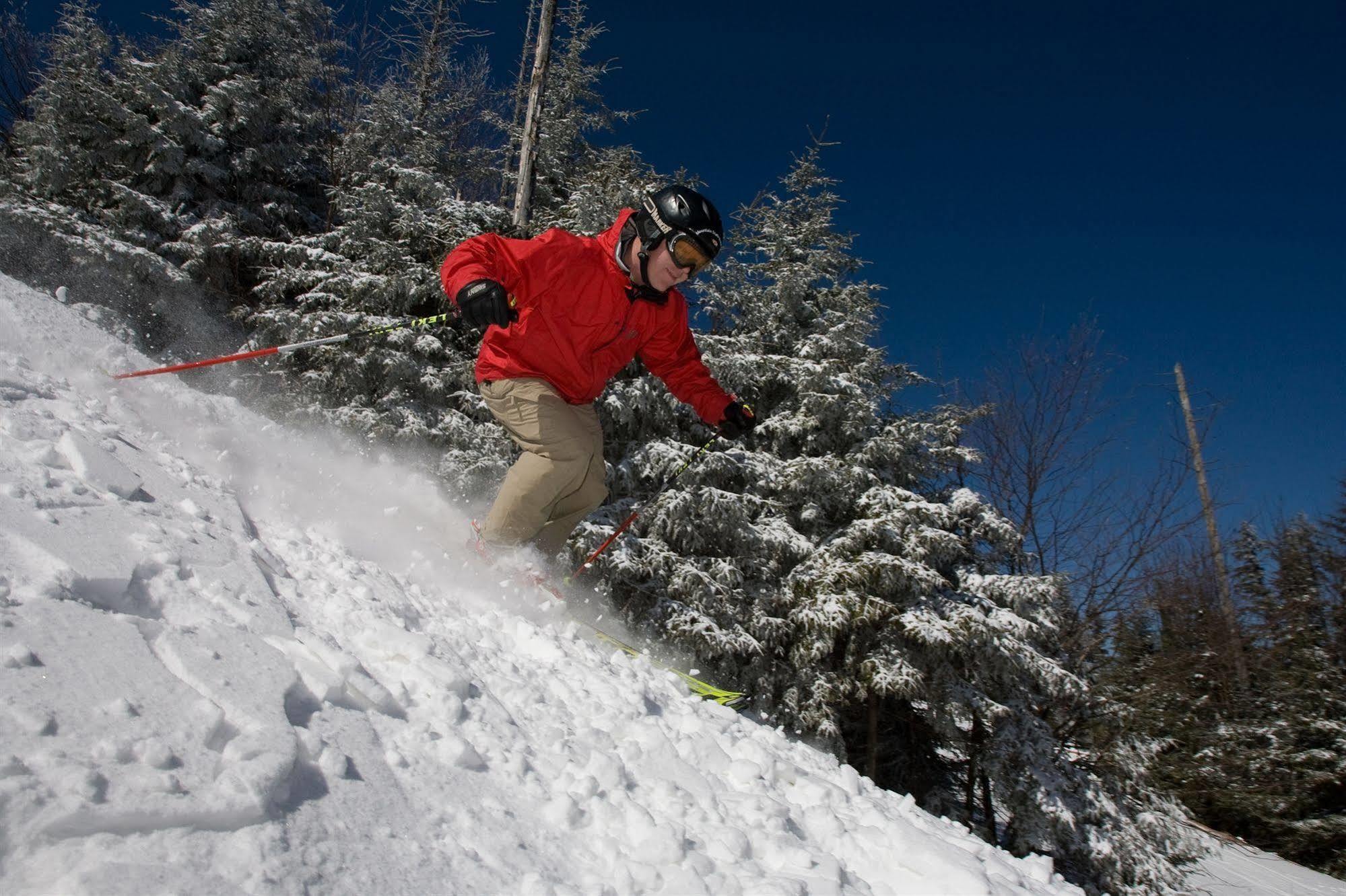 Allegheny Springs Snowshoe Esterno foto