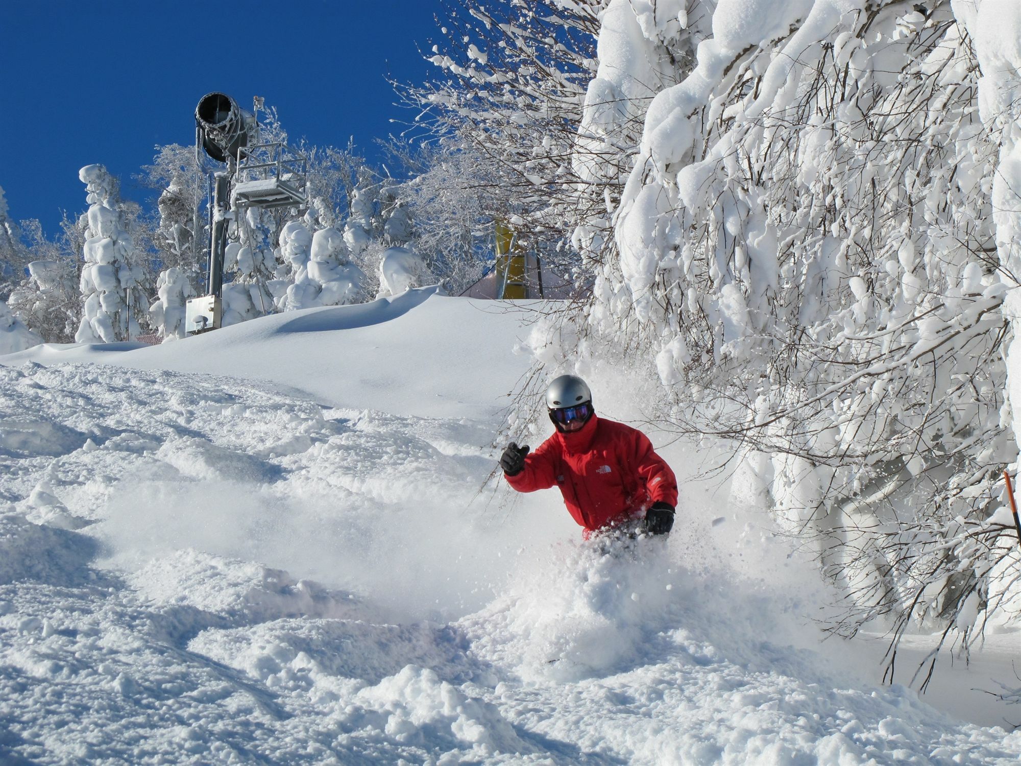 Allegheny Springs Snowshoe Esterno foto