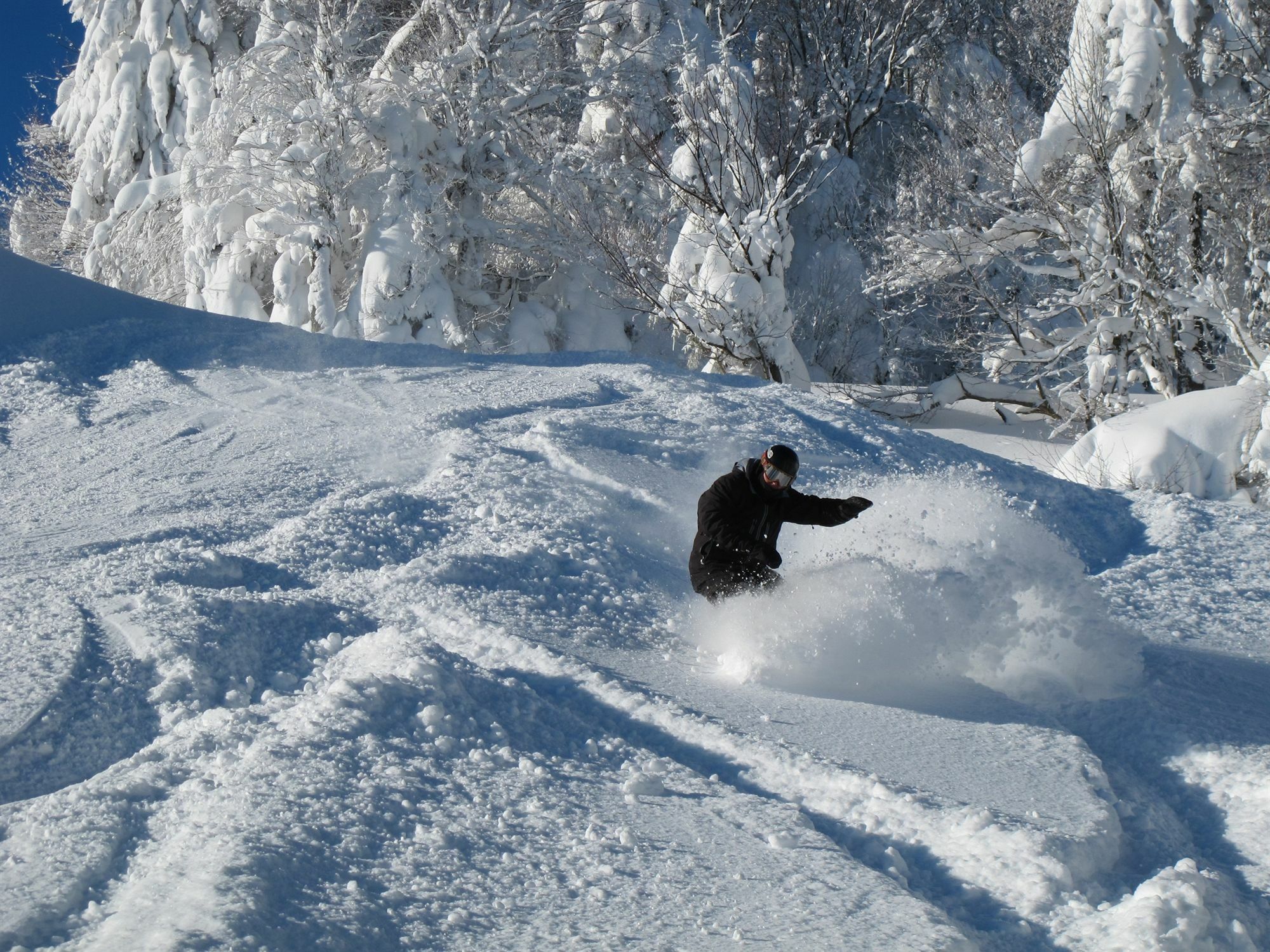 Allegheny Springs Snowshoe Esterno foto